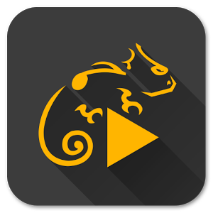 Stellio Music Player v5.9.10 Premium APK