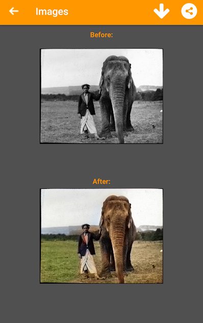 Black and White Photo Colorizer PRO v1.3.92 APK