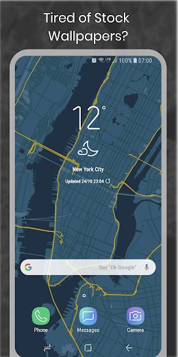 Cartogram Map Wall & Background v1.14 Paid APK
