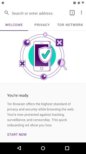 Tor Browser for Android v60.8.0 Mod APK