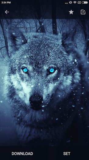 Wallpapers HD 4K Background v2.7.31 Pro APK