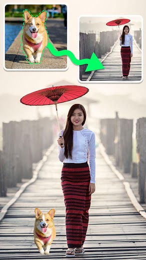 Cut Paste Photo Editor v2.0 Pro APK