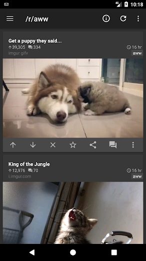 reddit is fun golden platinum v4.13.27 APK
