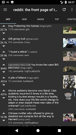 reddit is fun golden platinum v4.13.27 APK