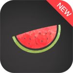 Melon VPN v5.3.533 Mod
